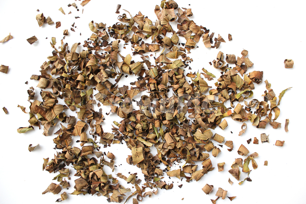 natural,nature,organic,food,healthy,plant,brown,driedleaf,dry,dryleaf,guava,guavatea,leaf,tea,white,자연,음식,식배료,차,차잎,건강,식물,브라운,갈색,말린잎,말린,건조,건조시킨,구아바,구아바잎,잎,나뭇잎,가루,흰배경,구아바차,음식,식재료,요리,food,cook,meal,dishes,food reserves