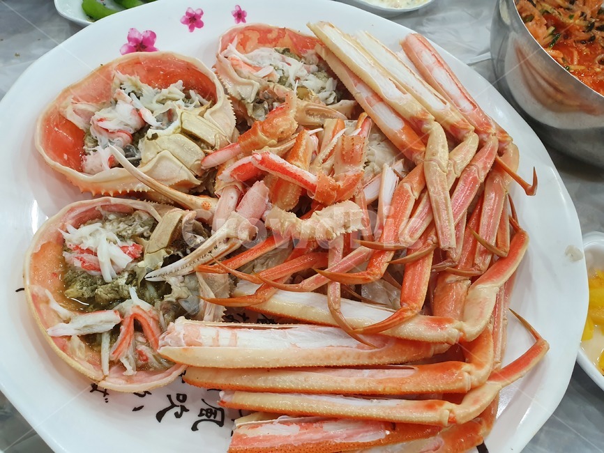 대게,힐링,맛집,음식,해산물