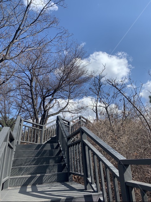 banister,난간,handrail,railing,계단,하늘,구름,계단오르는,등산,산계단,자연,나무,날씨,산,산책로