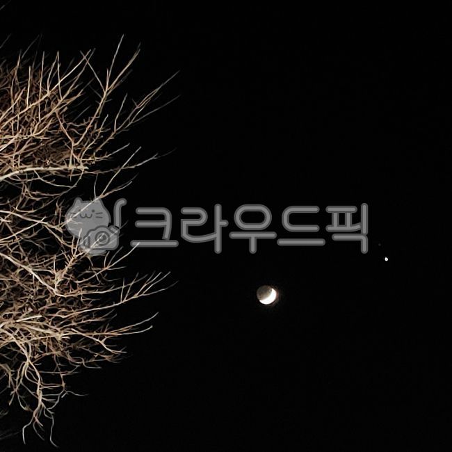 moon ball,old moon,shadow,bluesky,moon shadow,space,outer space,crescent moon,sky,skyblue,nail moon,surface,night,tree,astronomy,moon,sky blue,dawn,lunar surface,evening sky,blue sky,moonshadow,tree branch,night sky,blue color,moon rabbit,nature,outerspac