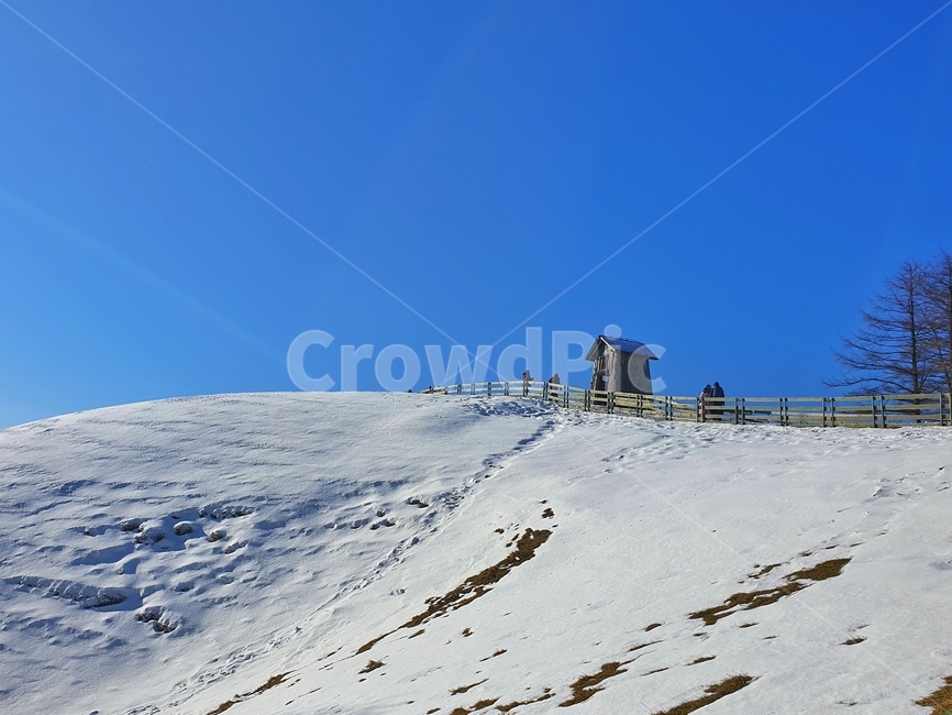 자연,겨울,목장,snow,경치,풍경,대관령,강원도,눈,nature,겨울,계절,winter,season