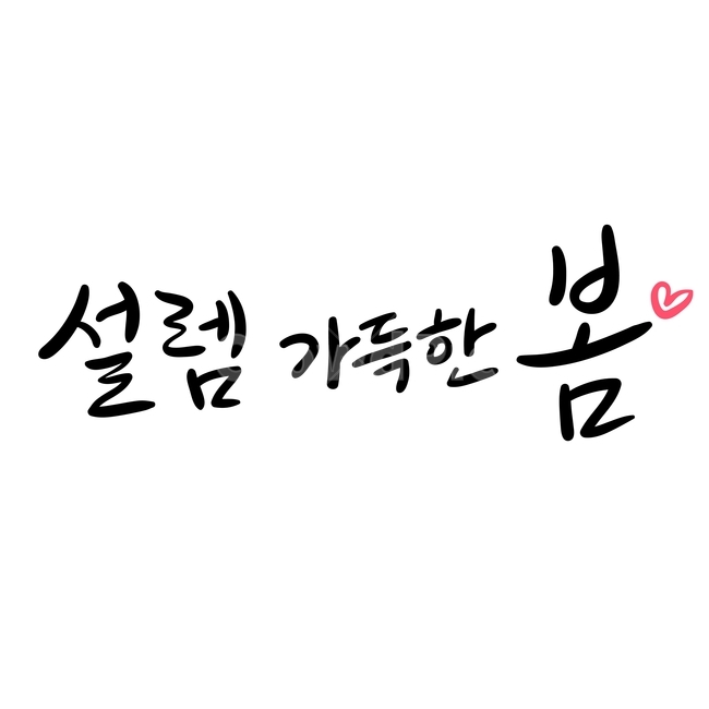 봄,손글씨,펜글씨,붓글씨,영문캘리,캘리,캘리그라피,봄,계절,spring,season,누끼,remove background,캘리그라피,손글씨,calligraphy