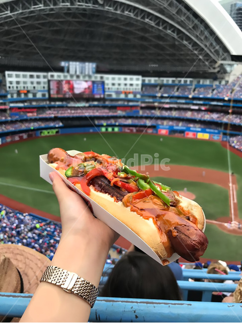 핫도그,야구장,hotdog,baseballstadium,직관,mlb,시계,field,watch,sweetpepper,bellpepper,sausage,sause,bread,피망,소스,빵,소시지