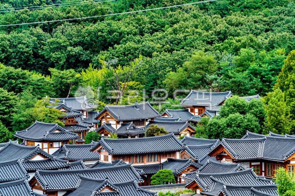 은평구,은평한옥마을,은평구한옥마을,한옥,한옥마을,한국,대한민국,서울,korea,seoul,hanok,koreanstylehouse,traditionalkoreanvillage,hanokvillage,hanokmaul,한국문화,한국전통,전통문화,한국풍경,한국자연,서울풍경,서울자연,풍경,landscape,scenery,scene,view,bukhansan,nature,자연