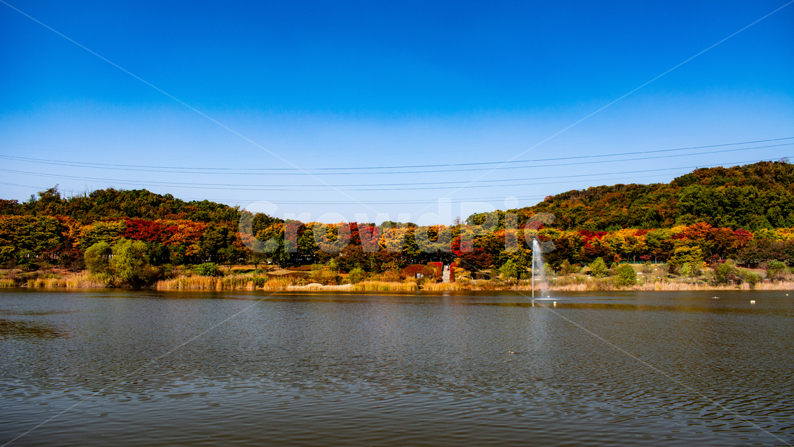호수,분수,단풍,가을,송전선,저수지,가을,계절,fall,autumn,season,water,물,outdoors,옥외,nature,자연