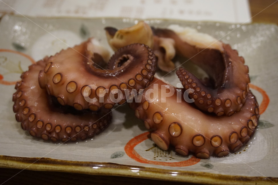 문어,숙회,문어숙회,씨푸드,술안주,안주,소주,야식,회식,음식,푸드,회,해산물,삶다,빨판,해물,식감,탱탱,음식,식재료,요리,food,cook,meal,dishes,food reserves,수산물,해산물,fishery products,seafood
