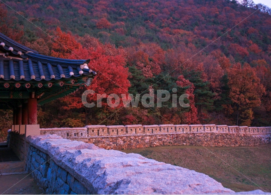 가을,노을,성벽,돌담,단풍나무,울긋불긋,구조물,자연,풍경,가을,계절,fall,autumn,season,자연,풍경,nature,landscape,한국자연풍경,한국자연경관,korea nature landscape,한국전통,한국문화,korean traditional,korean culture,건축물,건물외관,exterior,building,structure,architecture,construction,plant,식물,tree,나무