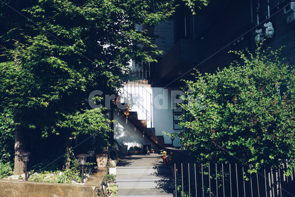 한옥마을,봄,계단,서울,나무,식물,자연,plants,nature,나무,trees,wood,인테리어,실내디자인,interior design