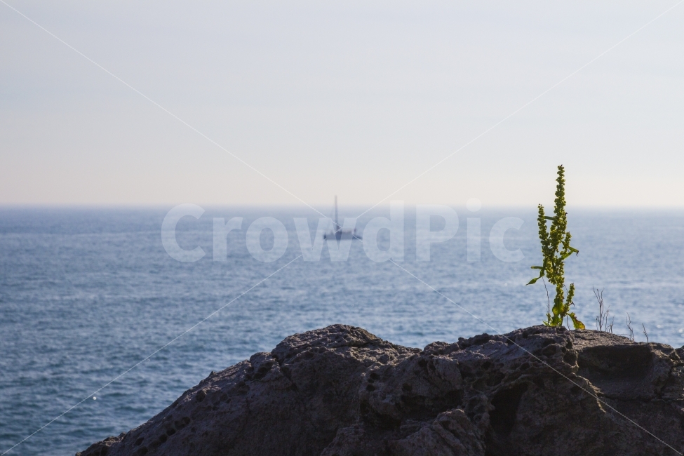 여행,바다,풍경,자연,제주도,자연,풍경,nature,landscape,vehicle,차량,boat,보트,transportation,교통