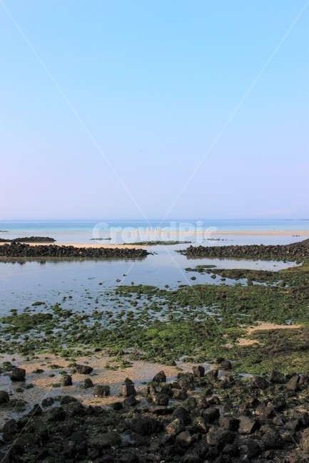 제주도,세화해변,여름제주,세화바다,제주바다,여름바다,현무암,자연,풍경,nature,landscape,한국자연풍경,한국자연경관,korea nature landscape,제주도,jeju,jeju island,outdoors,옥외,land,땅,water,물,shoreline,해안선,sea,바다,ocean,대양
