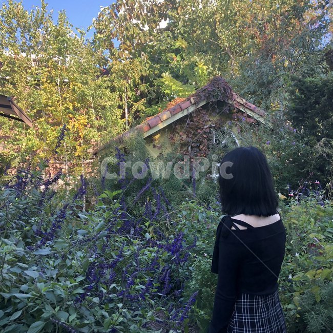 몽환,숲,자연,나무,꽃,식물,소녀,여자,뒷모습,사람,person,human,인간,outdoors