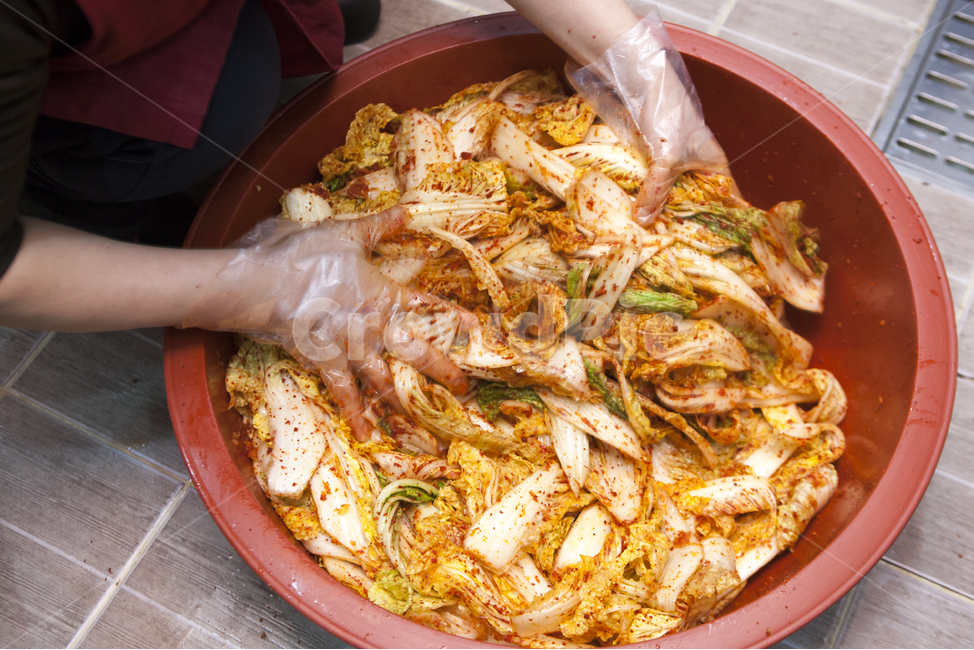 배추,겉절이,김치,김장,김장김치,음식,식재료,요리,food,cook,meal,dishes,food reserves,한식,한국음식,한국요리,korean food,korean dishes,korean meal,korean cook