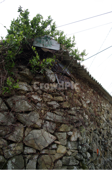 돌담,집,창문,넝쿨,식물,plant,건축물,건물외관,exterior,building,structure,architecture,construction
