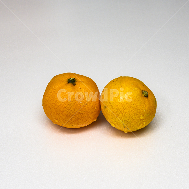 귤,식물,감귤류과일,fruit,과일,food,음식,주황색,과일,열매,fruit