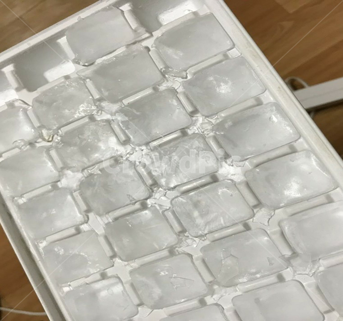 여름,얼음,시원함,ice,시원