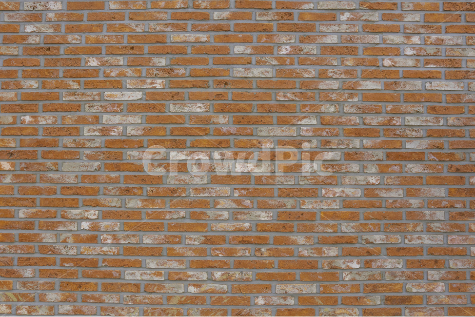 갈색벽,벽돌벽,벽,벽돌,wall,brick