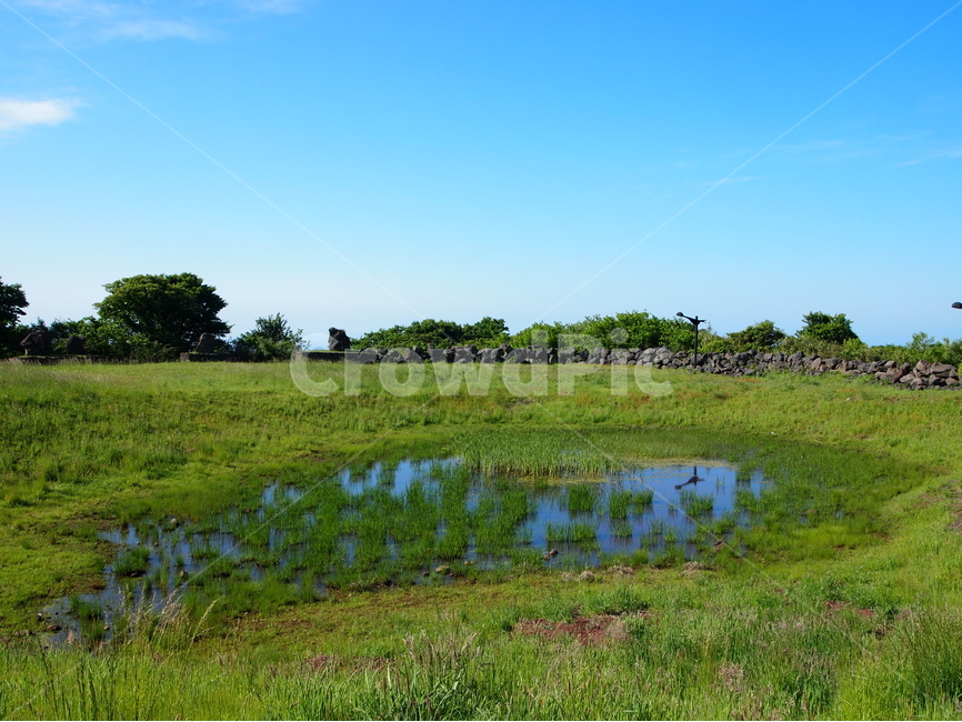 제주도,돌문화공원,작은습지,습지,파란하늘,jejuisland,park,blue,sky,green,marsh,배경,background,자연,풍경,nature,landscape,제주도,jeju,jeju island,land,땅,outdoors,옥외,water,물
