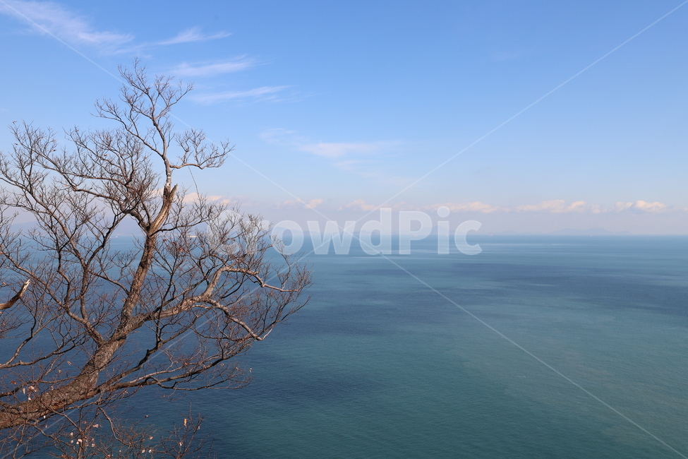 water,물,여수,여수바다,바다,전라도,자연,outdoors,옥외,tree,plant,나무,식물,자연,풍경,nature,landscape