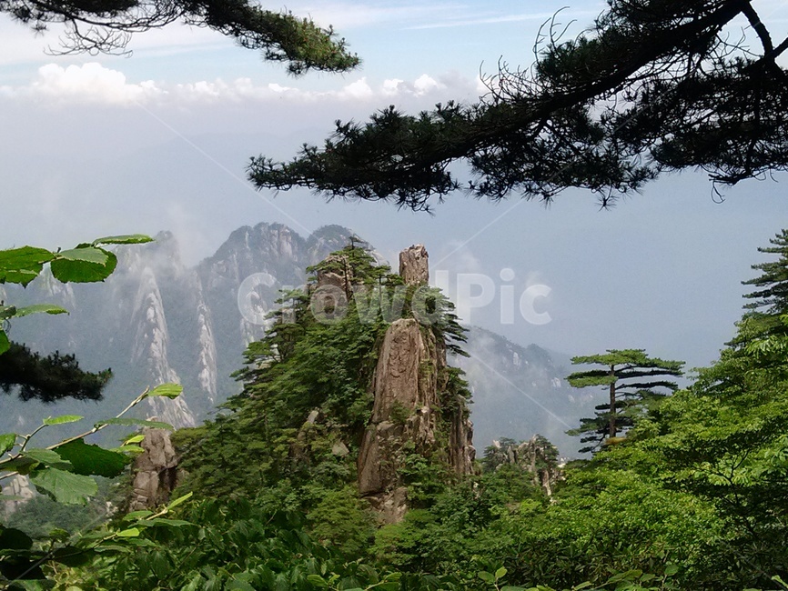 황산,명산,자연,산,풍경