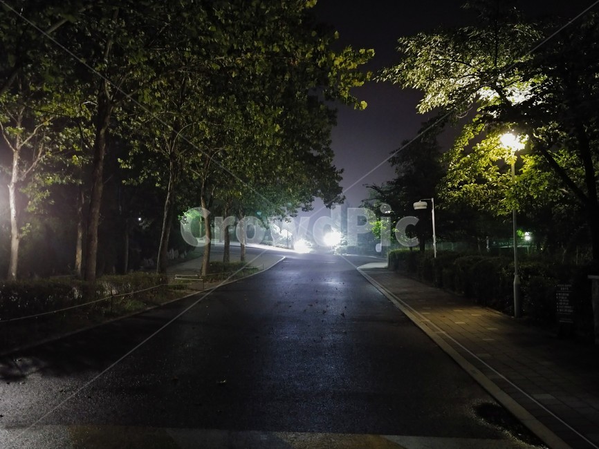비,비오는,도로,가로등,밤,거리