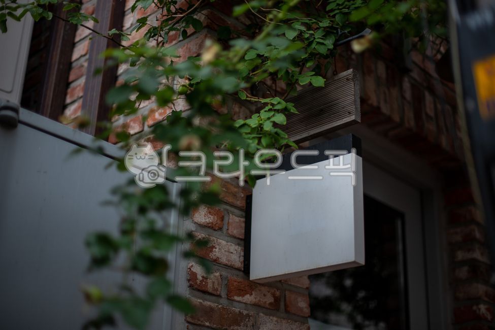 나뭇잎,자연,간판,건물,골목길,하얀간판,집,초록,leaf,nature,signboard,building,alleyway,whitesignage,house,abstract