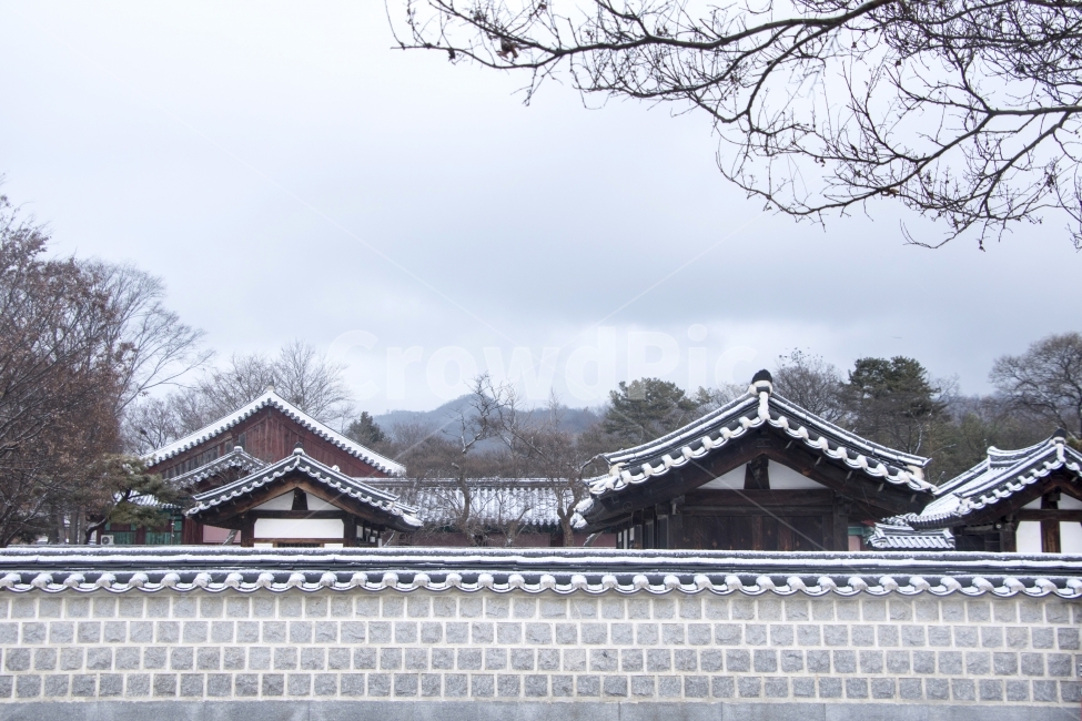 사진,단독사진,디자인,소스,포토,사진자료,배경,배경사진,백그라운드,한국,동양,아시아,접사,근접,자연,겨울,눈,얼음,경치,설경,Landscape,날씨,겨울배경,겨울풍경,풍경,눈풍경,한옥,지붕,사찰,전통가옥,기와,기와집,보케,흩날림,돌담,담,전통담,겨울,계절,winter,season,한국전통,한국문화,korean traditional,korean culture
