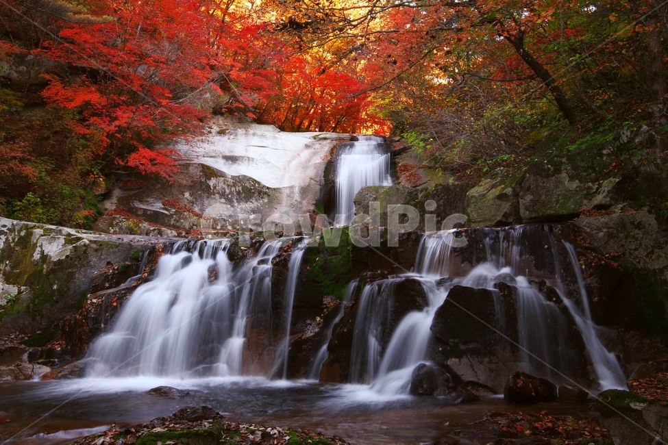 water,물,자연,폭포,단풍,가을,계절,fall,autumn,season,자연,풍경,nature,landscape,river,강,outdoors,옥외