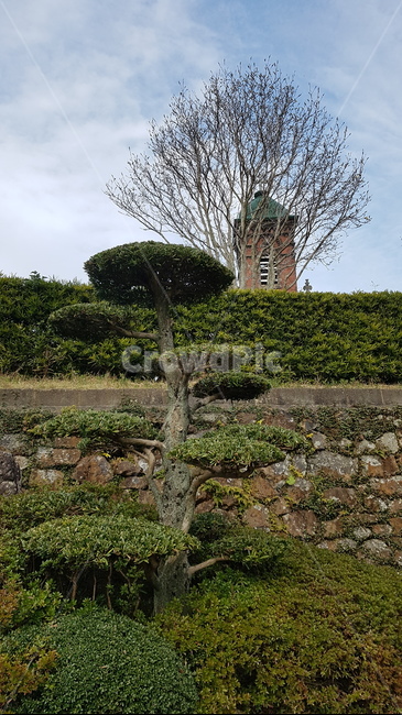 나가사키,나가사키성당,후쿠오카,일본성지순례,성지순례,나무,trees,wood