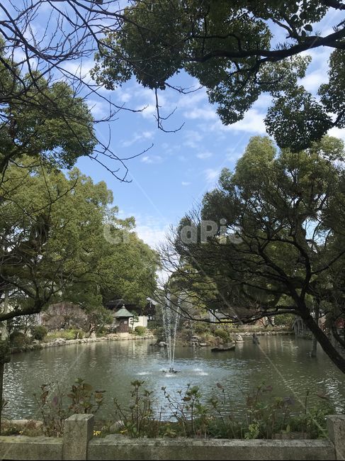 다자이후텐만구,다자이후,후쿠오카,후쿠오카근교,연못,맑은날,분수,일본