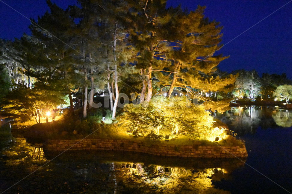 경주,안압지,경주야경,안압지야경,풍경,동궁과월지