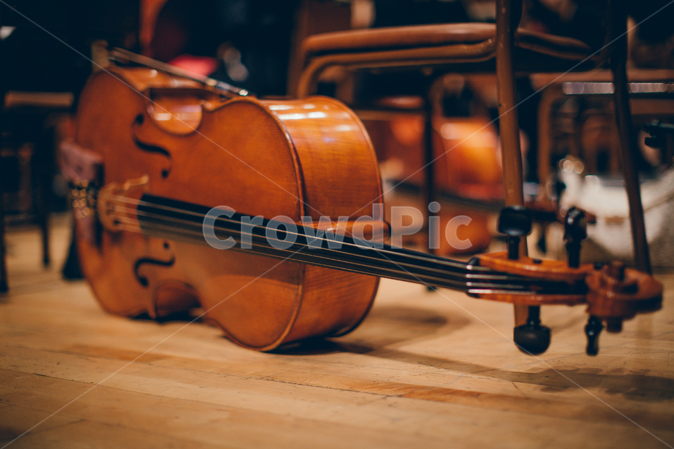 악기,첼로,공연,음악,연주회,악기,음향기기,musical instrument,musical equipment