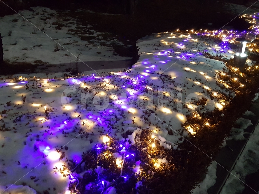 야경,눈,조명,길,눈등,자연,풍경,nature,landscape,겨울,계절,winter,season,야경,밤,nightscape,night