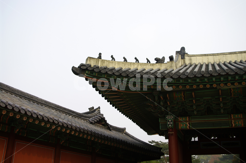 창덕궁,고궁,건축,전통건축,traditional,전통,단청,기와지붕,한국전통,한국문화,korean traditional,korean culture,건축물,건물외관,exterior,building,structure,architecture,construction