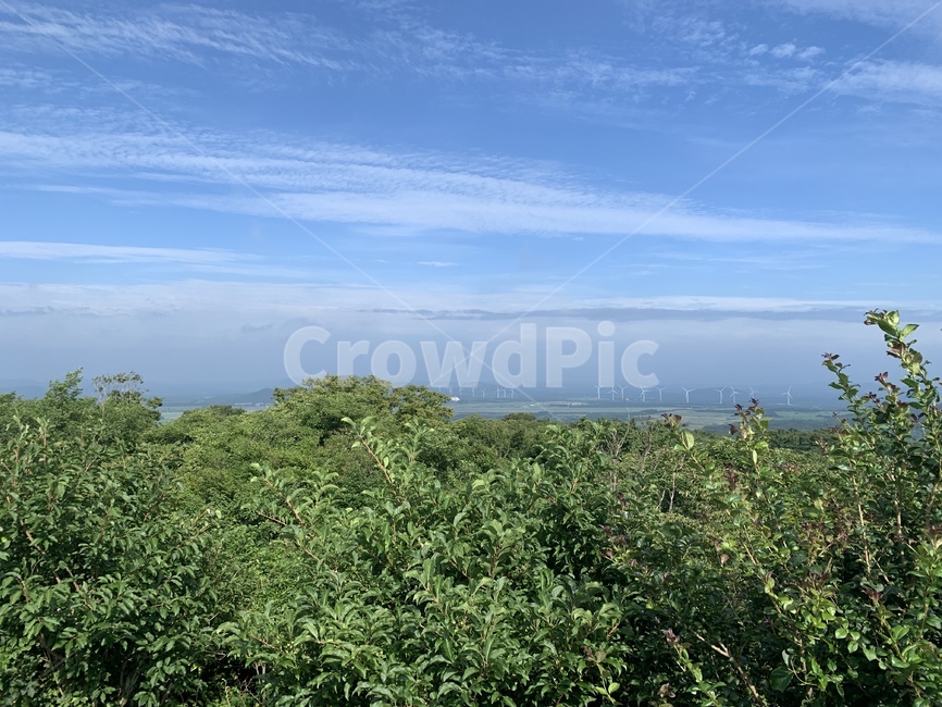 산,하늘,자연,제주,사려니숲길,날씨