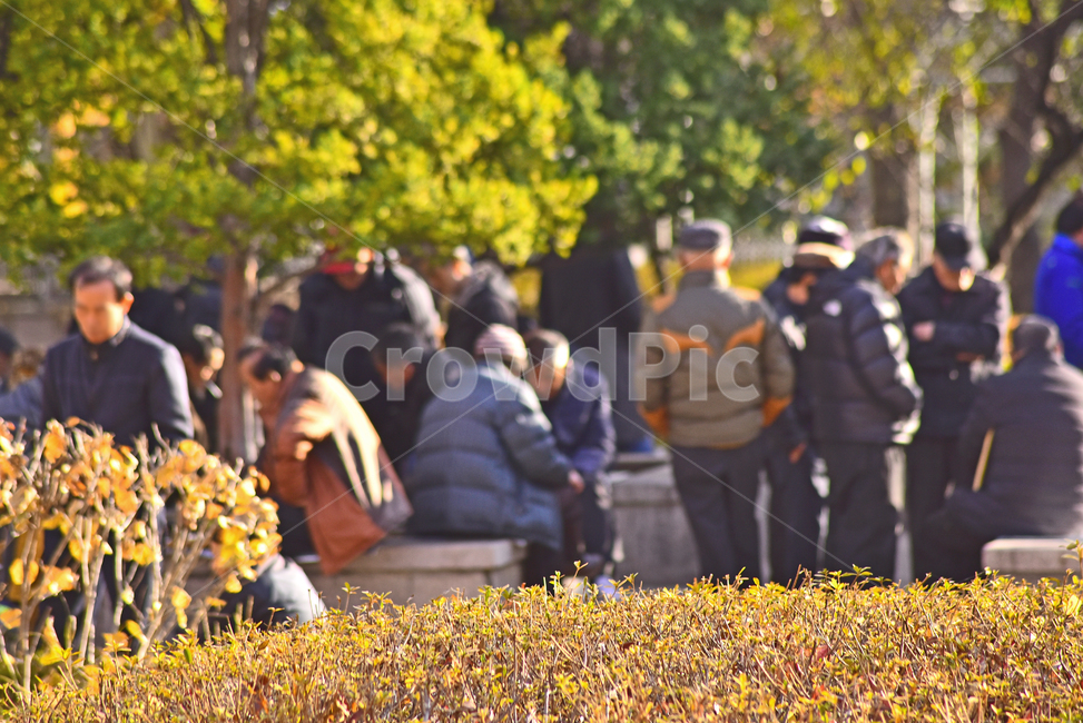 외로움,고독,쓸쓸함,소외,인간,사람,공원벤치,빈의자,person,human,노인,노인네,사람들,장년,노년,silver,노인문제,고령화사회,공원,파크,야외,옥외,outdoor,초고령사회,배경,바탕,백그라운드,사회문제,실버세대,무료함,사람,인물,인간,human,person,노인,어르신,old man, senior citizen