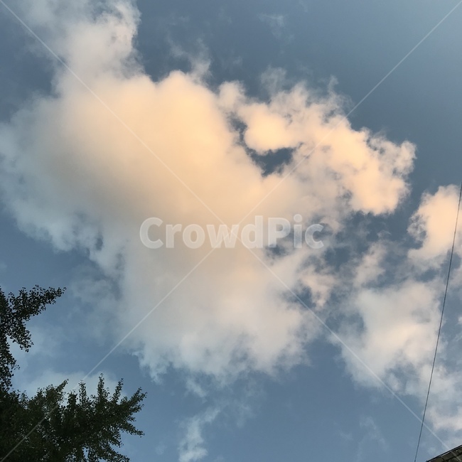 나무,tree,구름,cloud,자연,nature,식물,plant,자연,풍경,nature,landscape