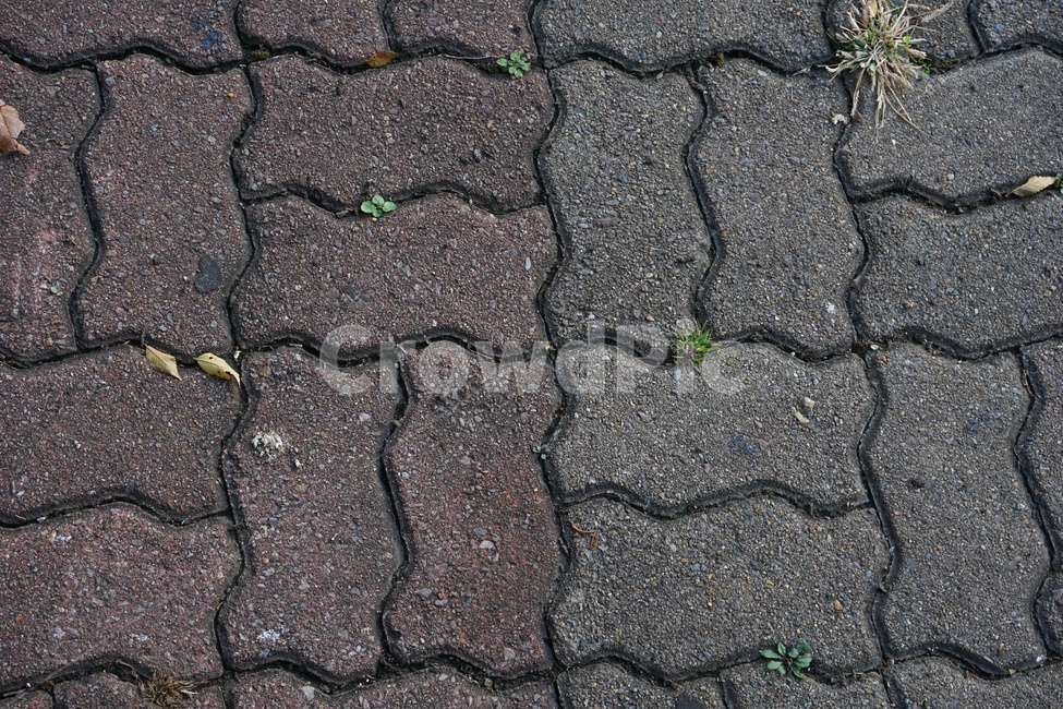 보도블록,도로,인도,도보,바닥,어두운,톤다운,회색,빨간,빨강,적색,길,잡초,ground,패턴,pattern,풀,무늬,규칙적인,grass,road,pedestrianism,보행도로,색감