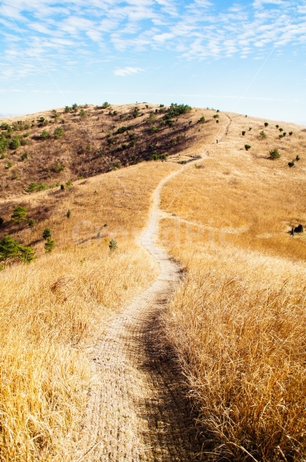 제주도,바다,하늘,구름,제주,제주날씨,제주하늘,빛,밝음,바람,돌,여유,한가로움,들판,초원,길,오름,등산,언덕,한적,부드러움,겨울,겨울바람,여행,산책,자연,풍경,nature,landscape,제주도,jeju,jeju island,gravel,자갈,road,도로,dirt road,흙길,outdoors,옥외