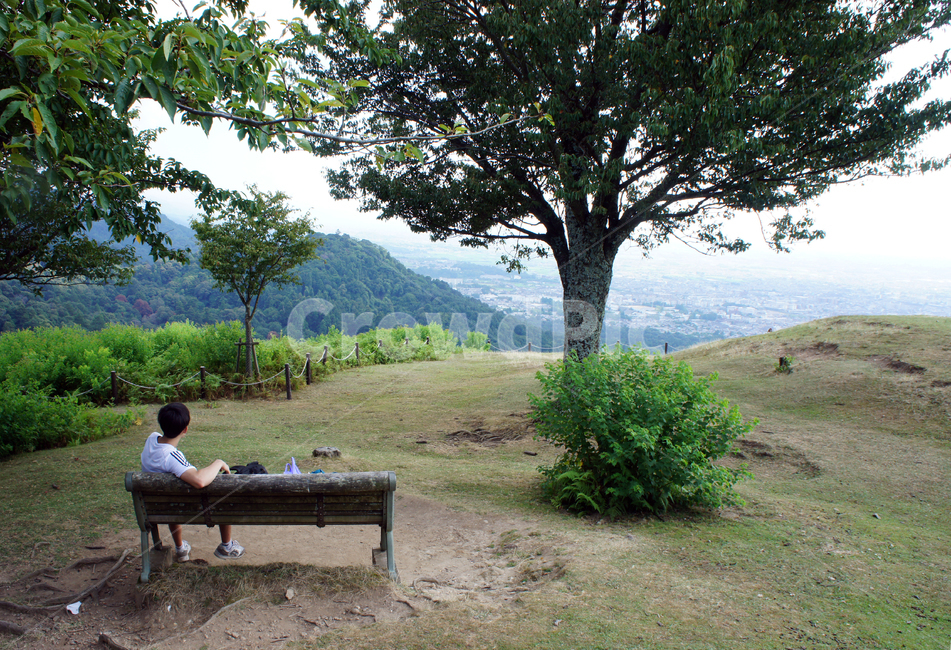 일본,일본여행,japan,휴식,쉼터,여행,travel,rest,나라공원