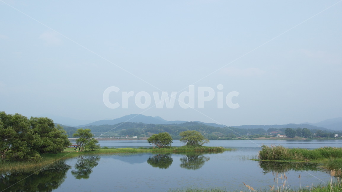 강,호수,river,lake,자연,nature,풍경,갈대,나무숲