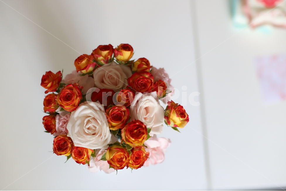 꽃,부케,장미,미니장미,생화,꽃,flower