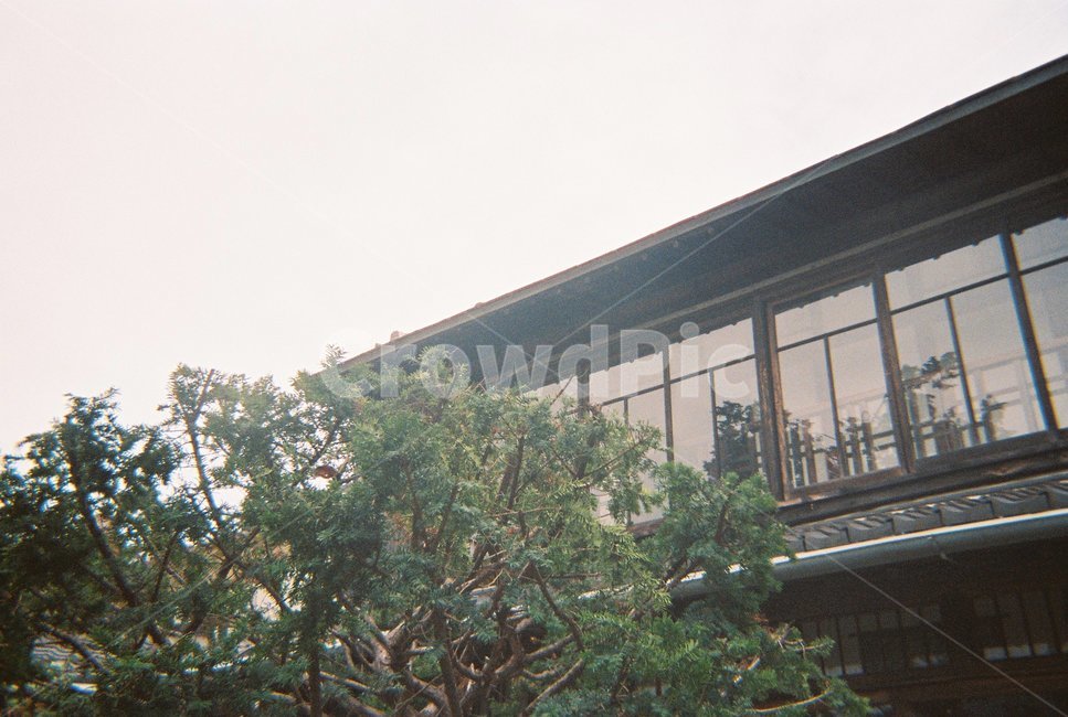 군산,gunsan,히로쓰가옥,필름카메라,필카,건축물,건물외관,exterior,building,structure,architecture,construction