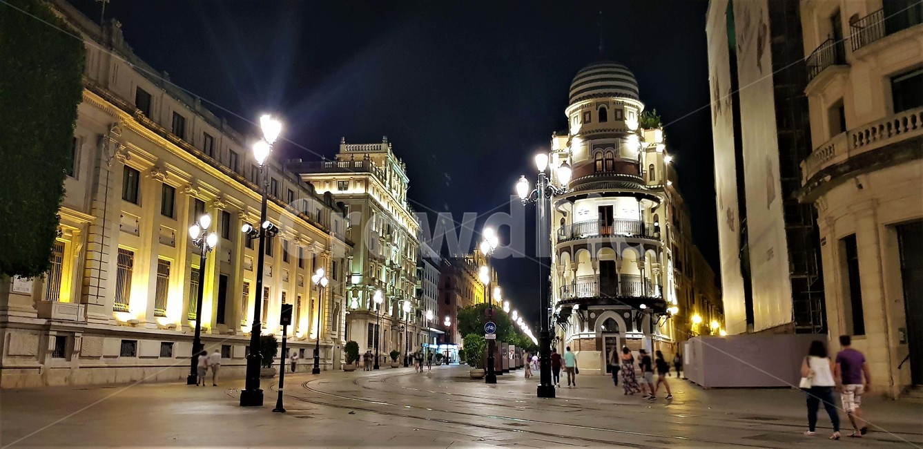 스페인,세비야,야경,거리,밤,사람들,산책,유럽,해외,spain,sevillia,anightscene,street,night,walking,europe,overseas,야경,밤,풍경,nightscape,night,landscape,도시,city,해외,외국,세계,foreign,oversea,world,세계도시풍경,해외도시풍경,외국도시풍경,world cityscape,town,시티,building,건물,downtown,도심,urban,어반,architecture,건축물,pedestrian,보행자