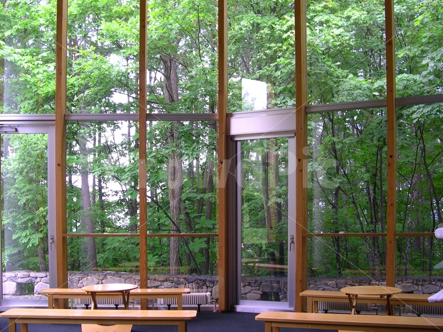 창문,창,인테리어,윈도,윈도우,숲,자연,문,샷시,도어,나무,탁자,의자,원목,window,interior,인테리어,실내디자인,interior design