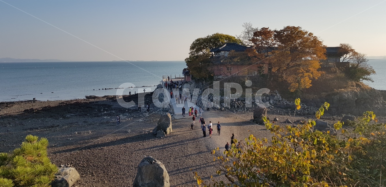 nature,자연,흙길,바닥,ground,바다,sea