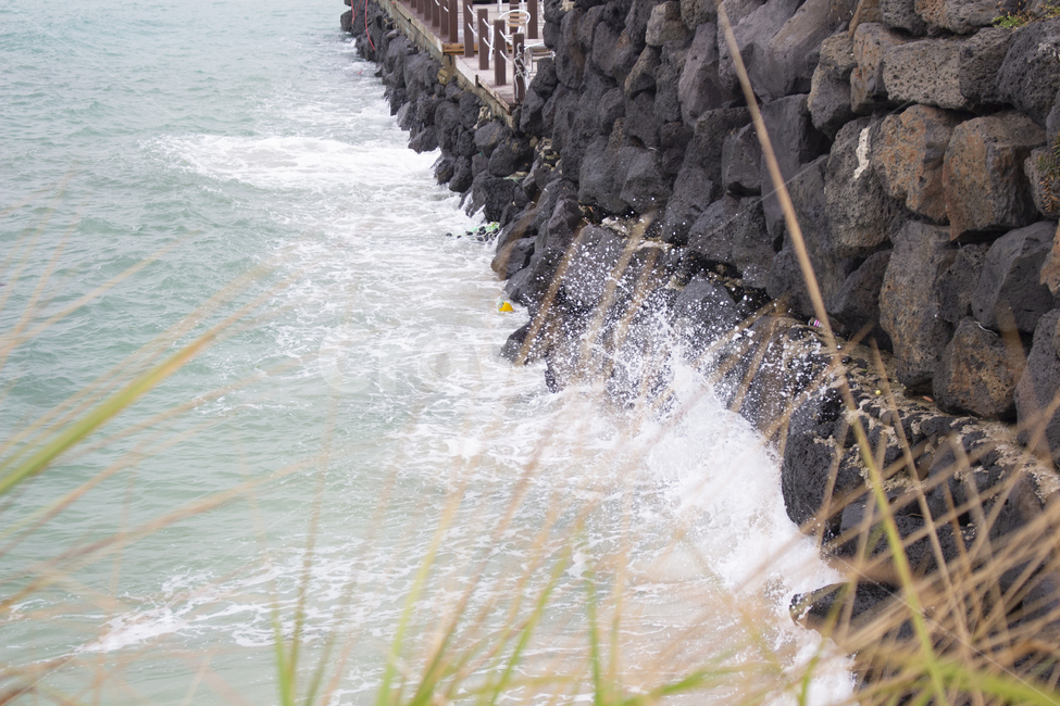 nature,자연,바다,제주도,파도,부딧침,물보라,바위,물결,자연,풍경,nature,landscape