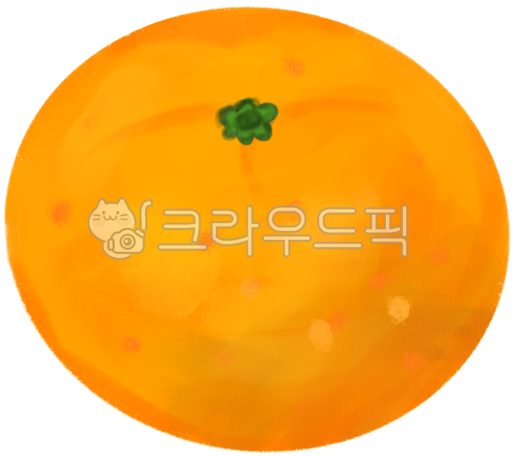 귤, 귤과일, 과일, 겨울과일, 과일그림, 사진,이미지,일러스트,캘리그라피 - 핑꾸미작가