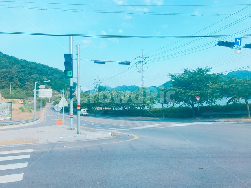 벚꽃,파랑,여름,안개,신호등,평화,기다림,안전,풍경