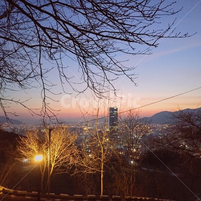 야경,노을,겨울,나뭇가지,풍경