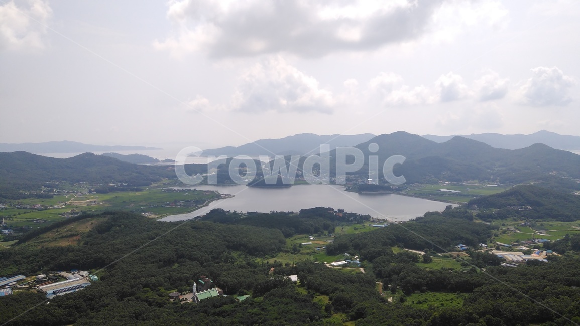 나무,숲,경치,tree,forest,하늘